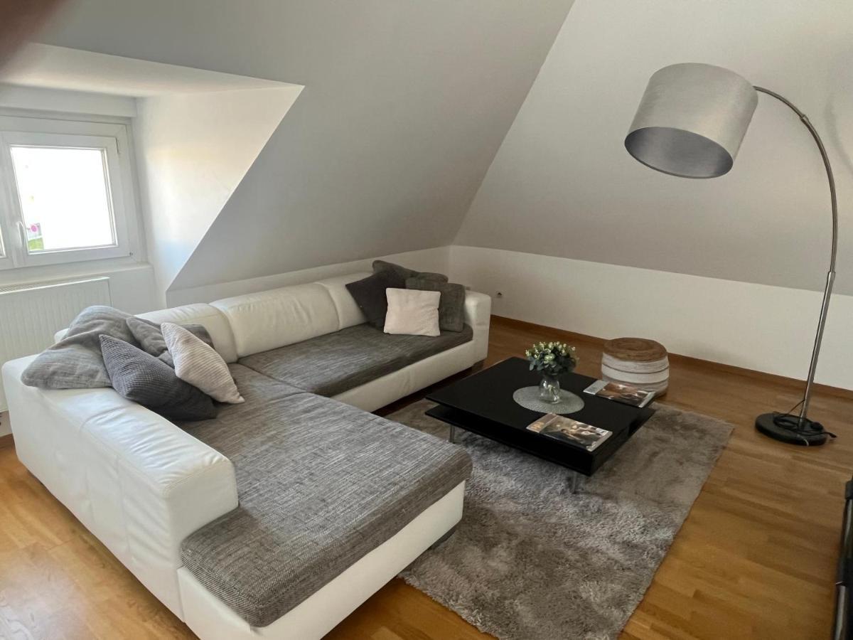 Bel Appartement Centre Climatise Parking Prive Colmar Exterior foto