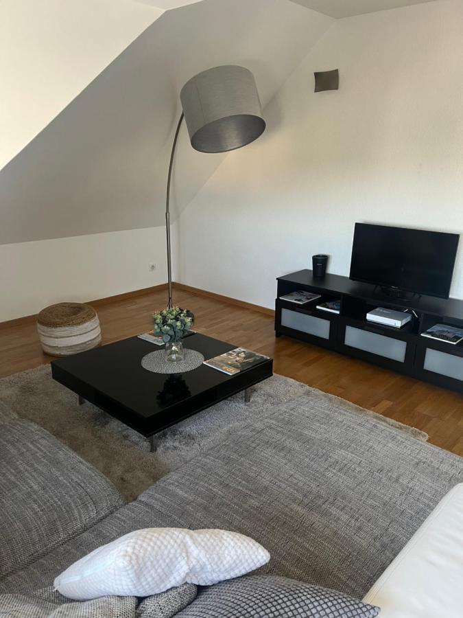 Bel Appartement Centre Climatise Parking Prive Colmar Exterior foto