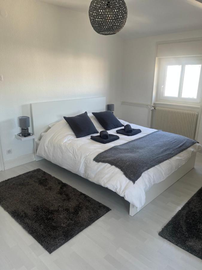 Bel Appartement Centre Climatise Parking Prive Colmar Exterior foto
